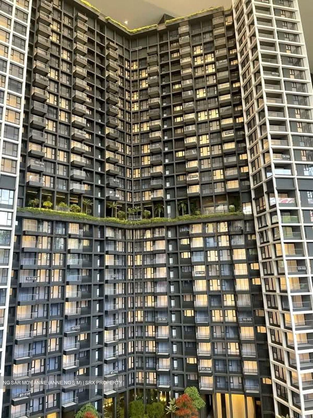 The Reserve Residences (D21), Apartment #548484681